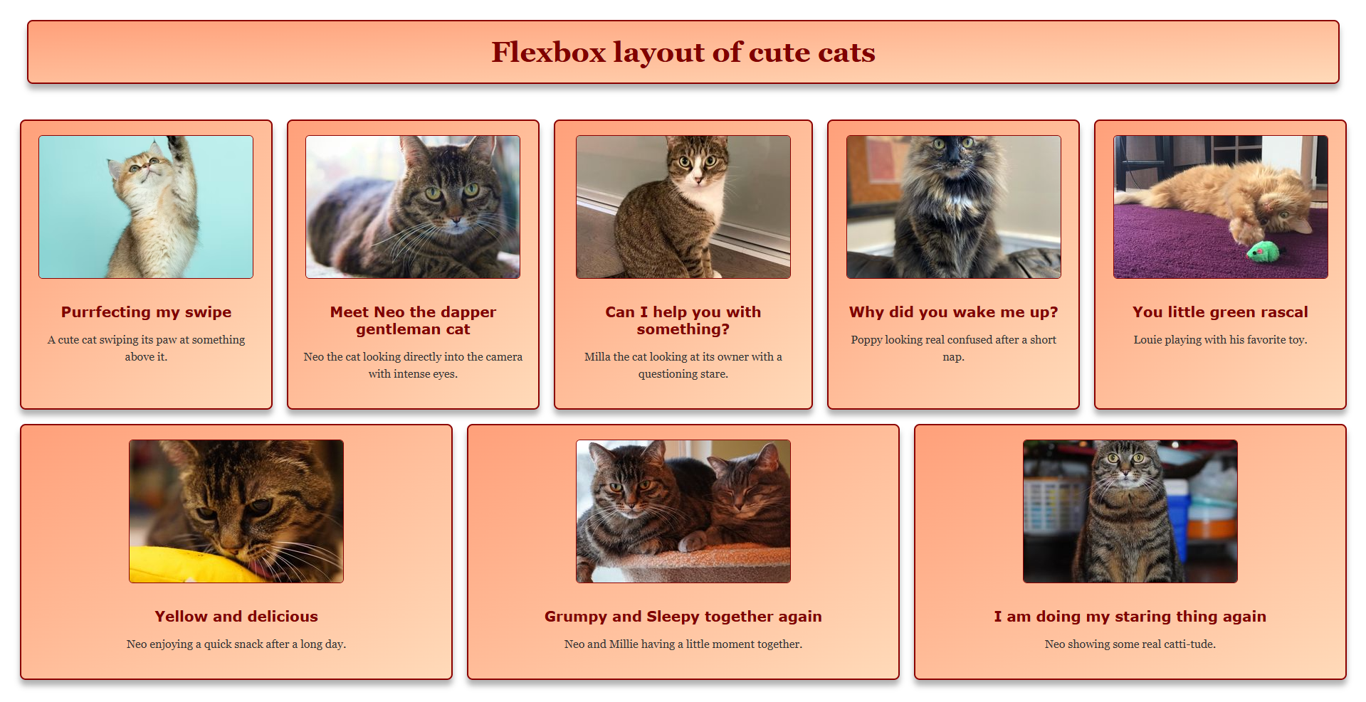 Screenshot of Flexbox Cats page
